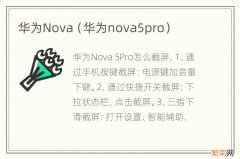华为nova5pro 华为Nova