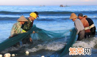 沙丁鱼和秋刀鱼的营养价值 沙丁鱼和秋刀鱼是同一种鱼吗