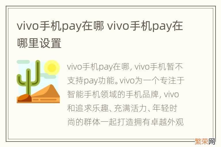 vivo手机pay在哪 vivo手机pay在哪里设置