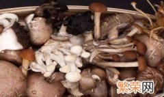 家里如何种蘑菇 家里种蘑菇方法