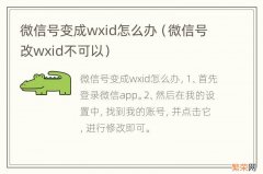 微信号改wxid不可以 微信号变成wxid怎么办