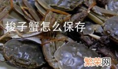 死梭子蟹怎么保存最好 死的梭子蟹怎么保存才新鲜