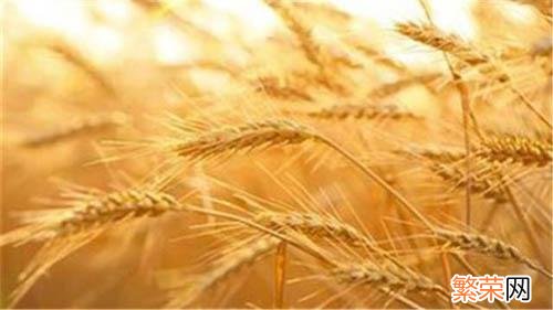 秋燥怎么办 怎样解决秋燥