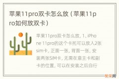 苹果11pro如何放双卡 苹果11pro双卡怎么放