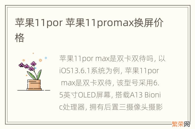 苹果11por 苹果11promax换屏价格