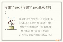 苹果11pro是双卡吗 苹果11pro