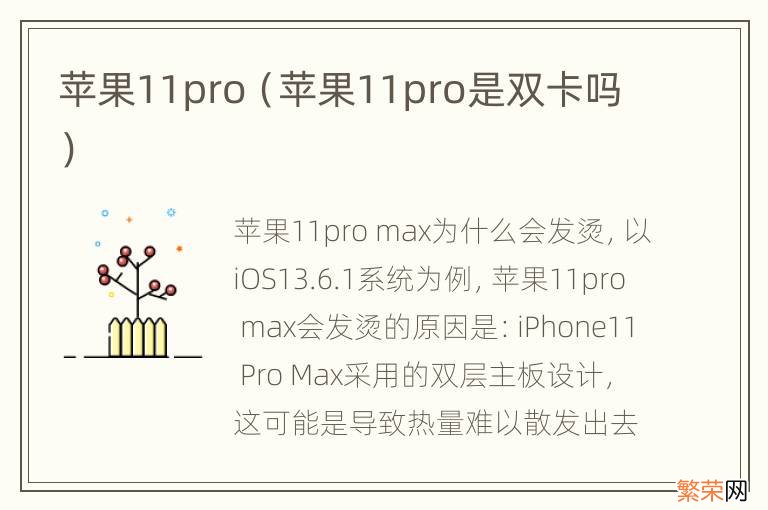 苹果11pro是双卡吗 苹果11pro