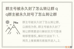 群主号被永久封了怎么转让群 qq群主被永久封号了怎么转让群