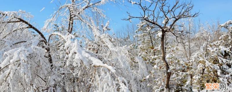 立春后下雪吗 立春后下雪春雪好不好