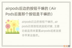 AirPods后面那个按钮是干嘛的 airpods后边的按钮干嘛的