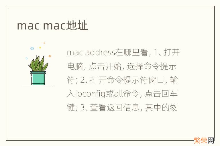 mac mac地址