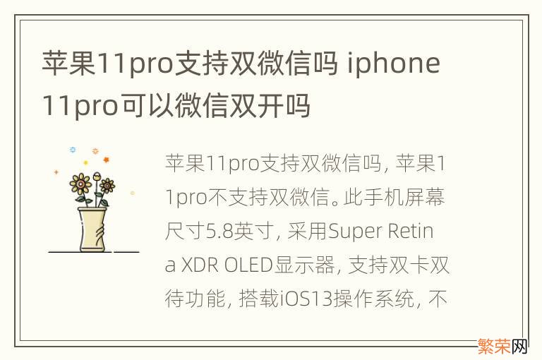 苹果11pro支持双微信吗 iphone11pro可以微信双开吗