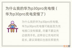 华为p30pro充电变慢了 为什么我的华为p30pro充电慢