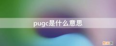 pugc是什么意思网络用语 pugc是什么意思