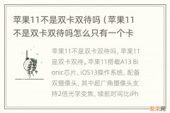 苹果11不是双卡双待吗怎么只有一个卡托 苹果11不是双卡双待吗