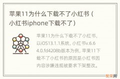 小红书iphone下载不了 苹果11为什么下载不了小红书