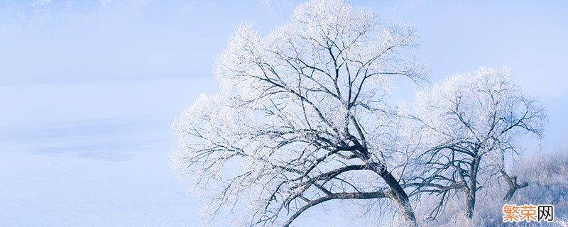 下雪发朋友圈短句 下雪发朋友圈短句有哪些