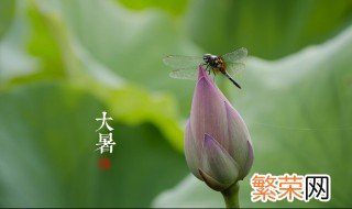 初伏中伏大伏怎么区别 初伏中伏大伏怎样区别