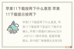 苹果11下载按两下什么意思 苹果11下载提示按两下