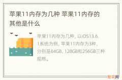 苹果11内存为几种 苹果11内存的其他是什么