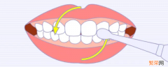 圆弧刷牙法 圆弧刷牙法步骤