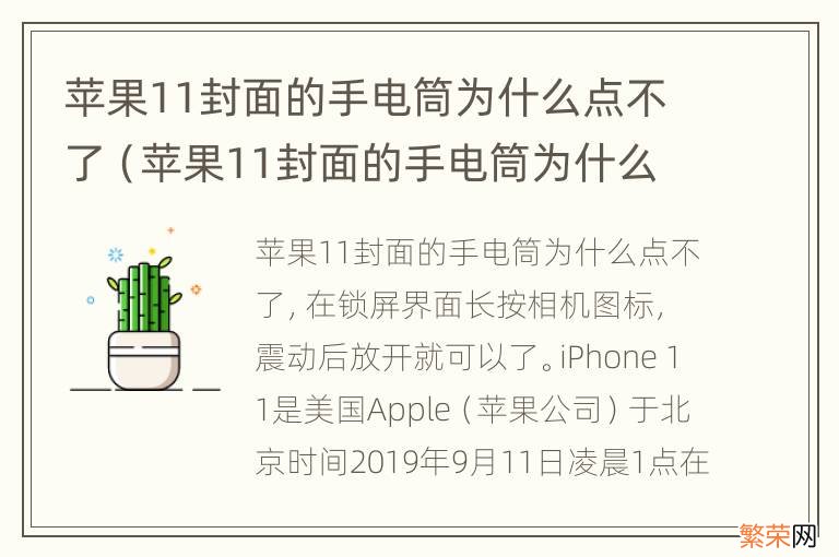 苹果11封面的手电筒为什么点不了屏幕 苹果11封面的手电筒为什么点不了