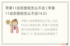 苹果11动态壁纸怎么不动14.0 苹果11动态壁纸怎么不动