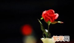 情人节送两朵玫瑰代表什么意思啊 情人节送两朵玫瑰代表什么意思