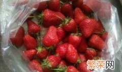 草莓怎么保存时间长 草莓怎么储存时间长久些