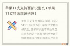 苹果11支持面部识别吗 苹果11支支持面部识别么