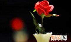 玫瑰花怎么盆栽 玫瑰花怎么盆栽?