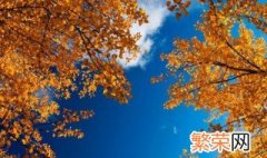 关于秋天的谚语 关于秋天的谚语有哪些