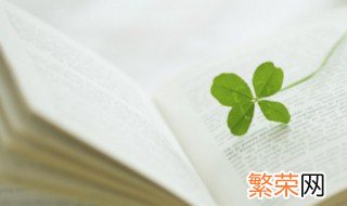 写户外活动优美语句 户外心情说说