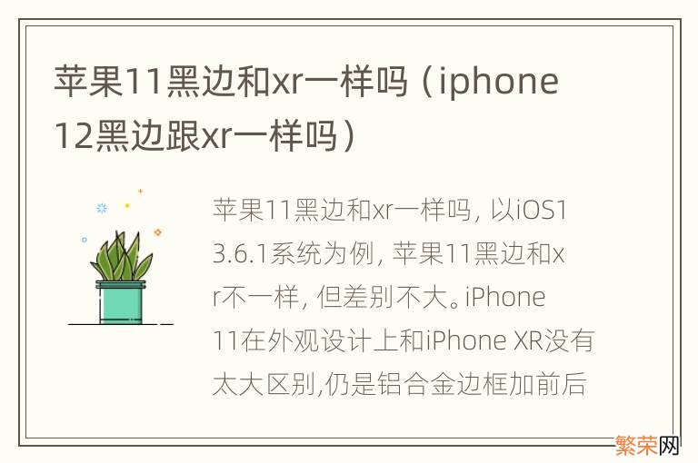 iphone12黑边跟xr一样吗 苹果11黑边和xr一样吗