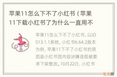 苹果11下载小红书了为什么一直用不了 苹果11怎么下不了小红书