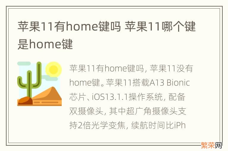 苹果11有home键吗 苹果11哪个键是home键