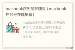 macbook序列号在哪里看 macbook序列号在哪里