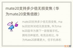 华为mate20变焦倍数 mate20支持多少倍无损变焦