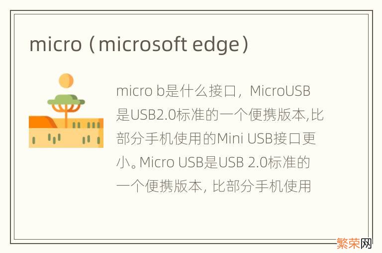 microsoft edge micro