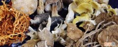 七彩菌菇是哪几种 七彩菌菇是哪几种菌