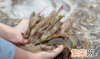 矿泉水瓶冻虾要放水吗 矿泉水瓶冷冻虾,瓶里面要加水吗