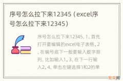 excel序号怎么拉下来12345 序号怎么拉下来12345