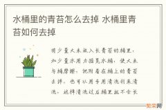 水桶里的青苔怎么去掉 水桶里青苔如何去掉