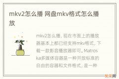 mkv2怎么播 网盘mkv格式怎么播放