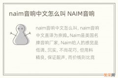 naim音响中文怎么叫 NAIM音响