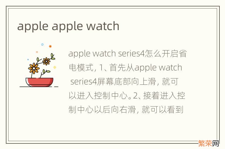 apple apple watch