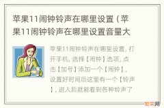 苹果11闹钟铃声在哪里设置音量大小 苹果11闹钟铃声在哪里设置