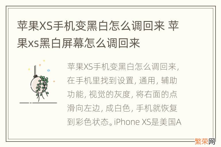 苹果XS手机变黑白怎么调回来 苹果xs黑白屏幕怎么调回来