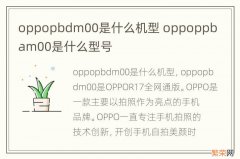 oppopbdm00是什么机型 oppoppbam00是什么型号