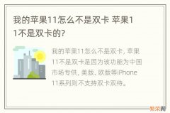 我的苹果11怎么不是双卡 苹果11不是双卡的?